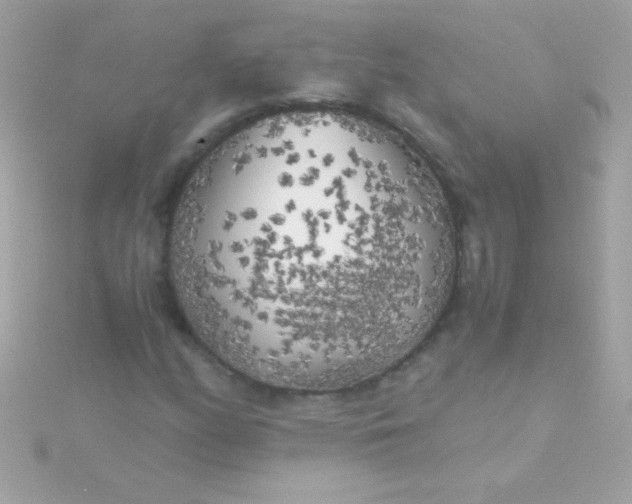 X0000115741158200911251953