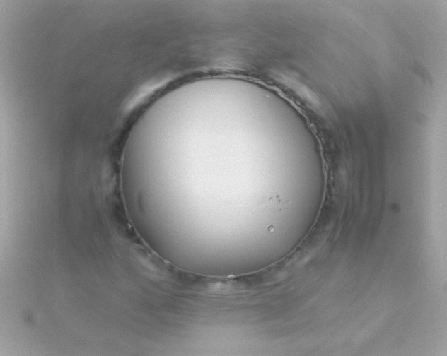 X0000115741160200911251953