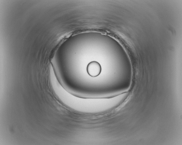 X0000115741161200911251953