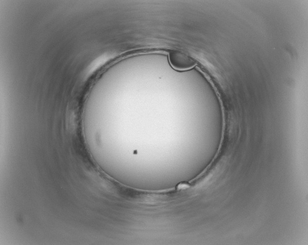 X0000115741163200911251953