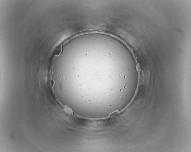 X0000115741165200911251953