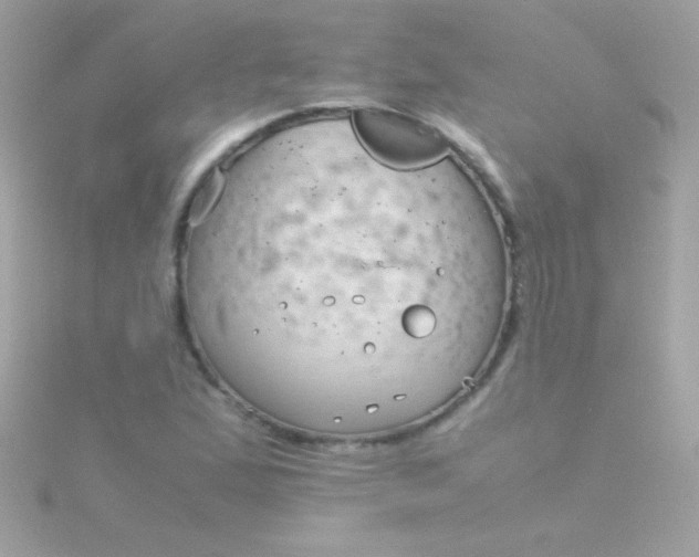 X0000115741167200911251953