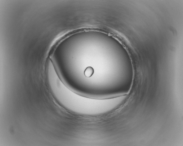 X0000115741168200911251953