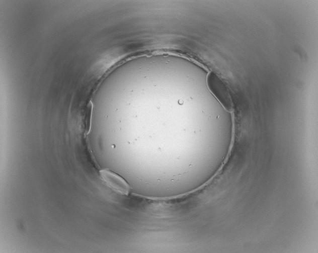 X0000115741169200911251953