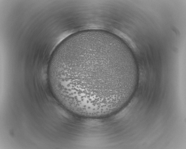 X0000115741170200911251953