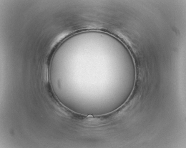 X0000115741171200911251953