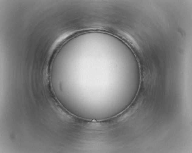 X0000115741172200911251953