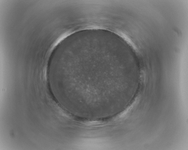 X0000115741173200911251953