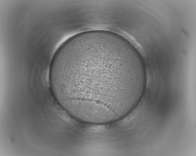 X0000115741174200911251953