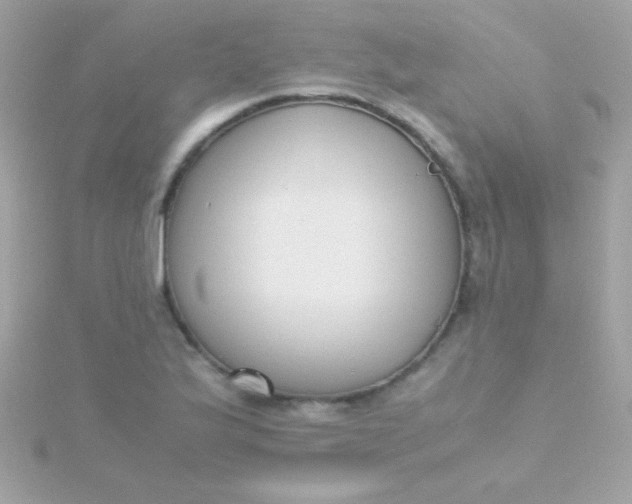 X0000115741175200911251953