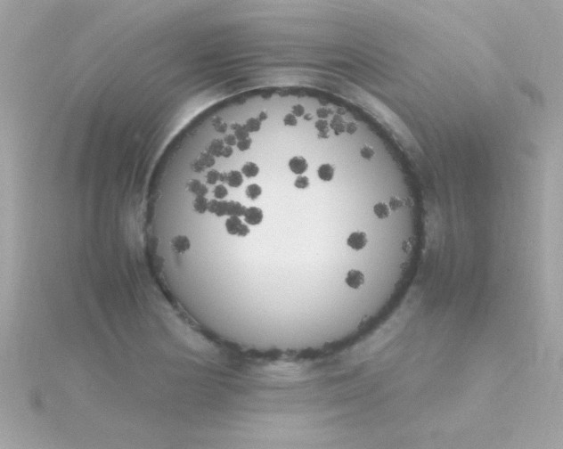 X0000115741178200911251953