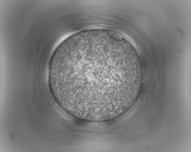 X0000115741179200911251953