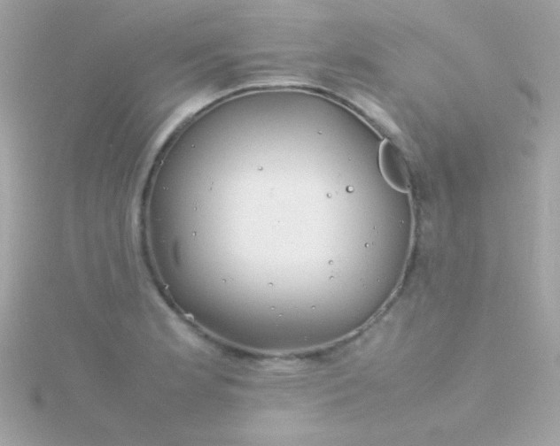 X0000115741181200911251953