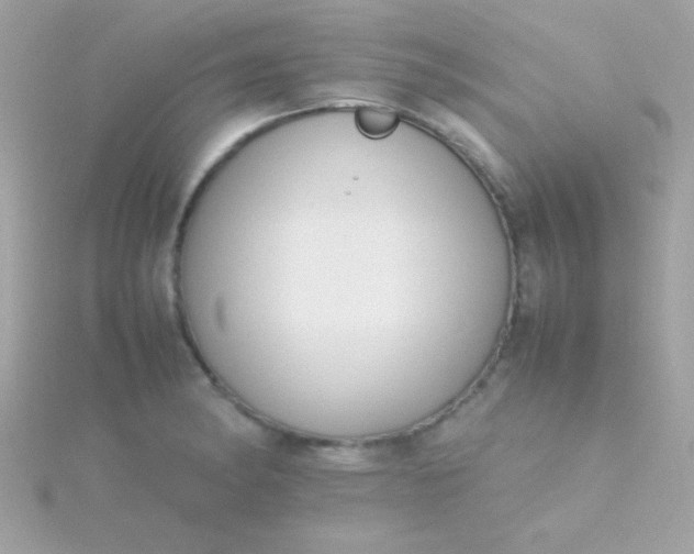 X0000115741182200911251953