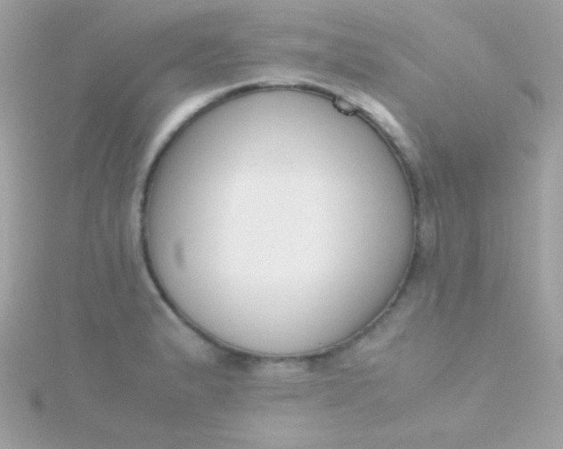 X0000115741183200911251953