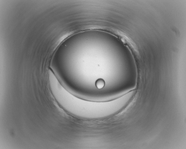 X0000115741185200911251953