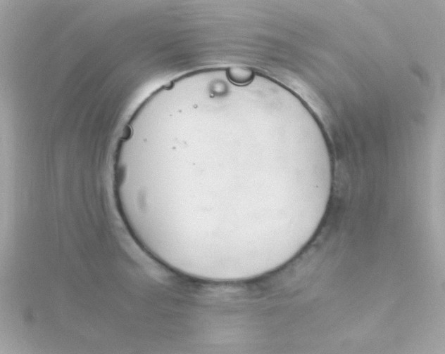 X0000115741187200911251953