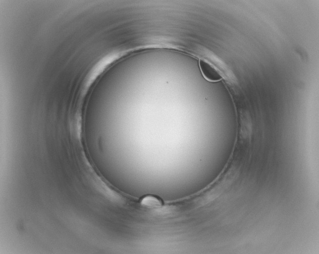 X0000115741188200911251953