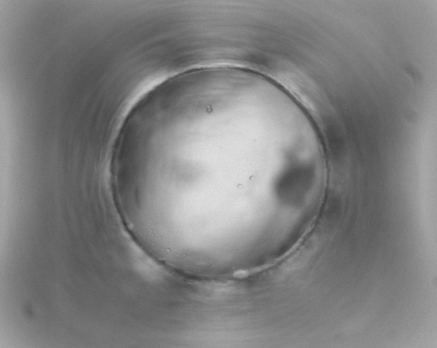 X0000115741189200911251953