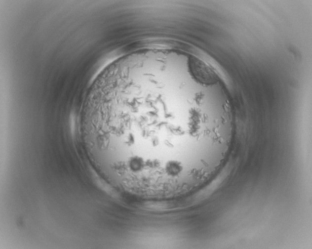 X0000115741194200911251953