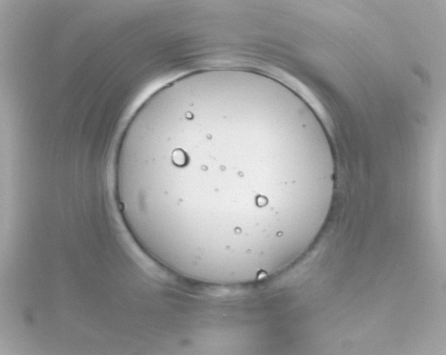 X0000115741195200911251953