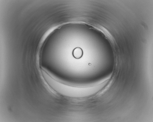 X0000115741196200911251953