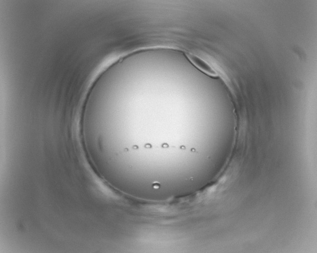 X0000115741197200911251953