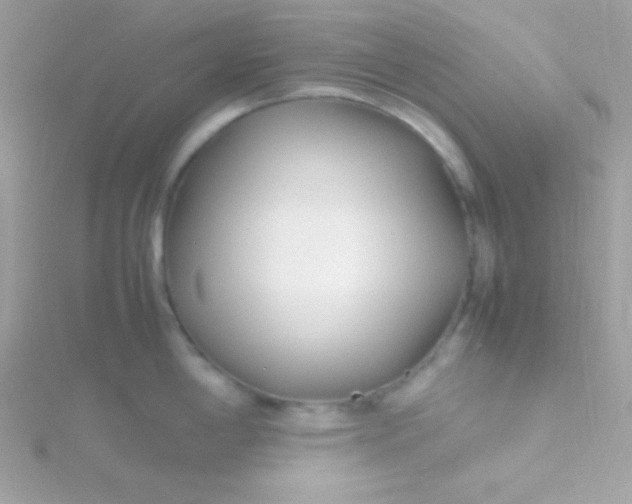 X0000115741198200911251953