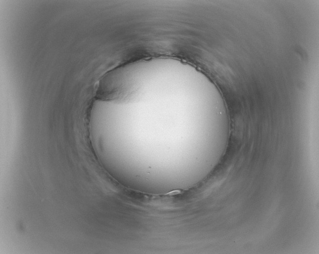 X0000115741201200911251952