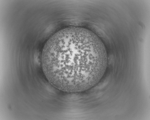 X0000115741202200911251952