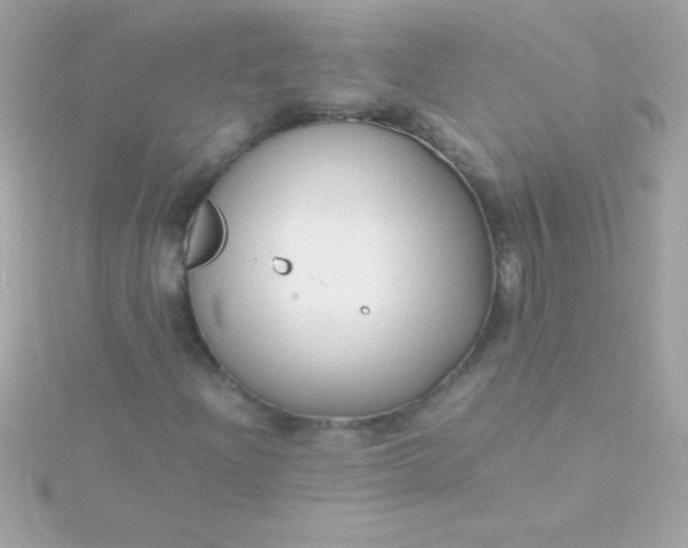 X0000115741204200911251952