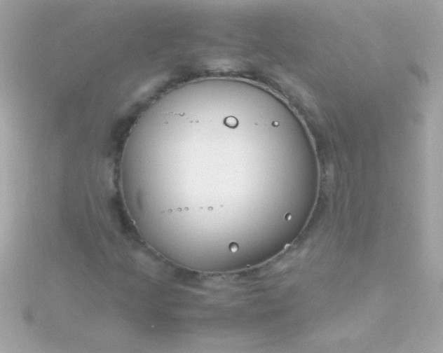 X0000115741205200911251952