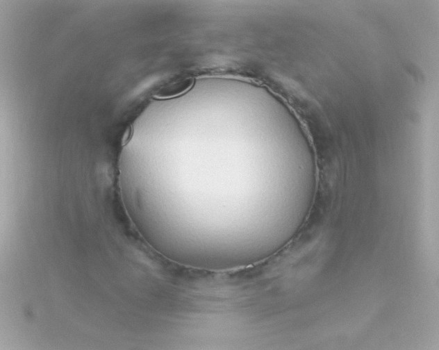 X0000115741206200911251952