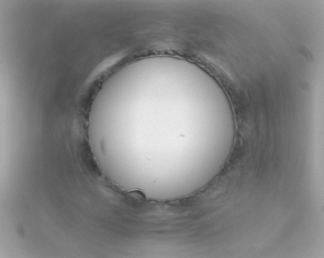 X0000115741207200911251952