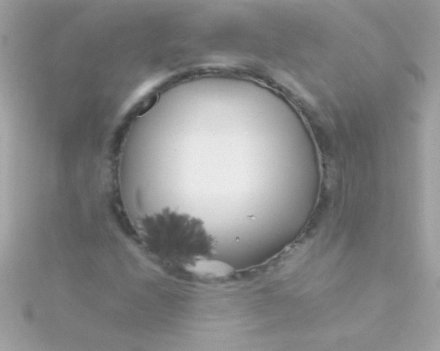 X0000115741208200911251952