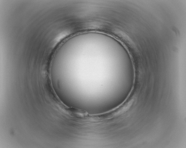 X0000115741210200911251952