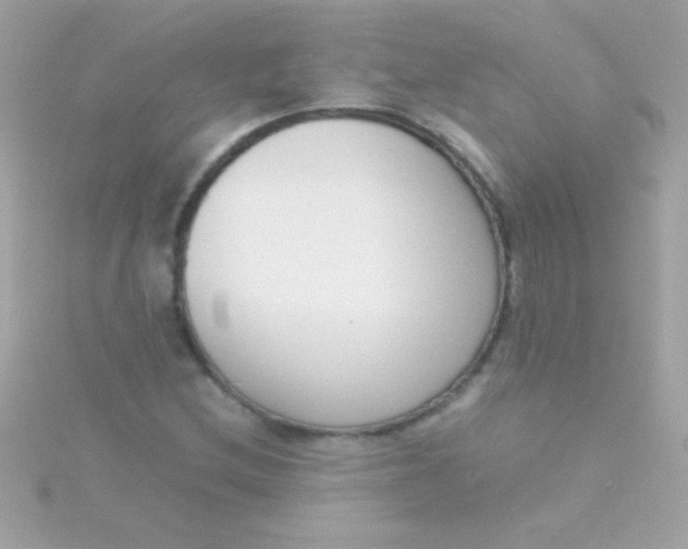 X0000115741212200911251952