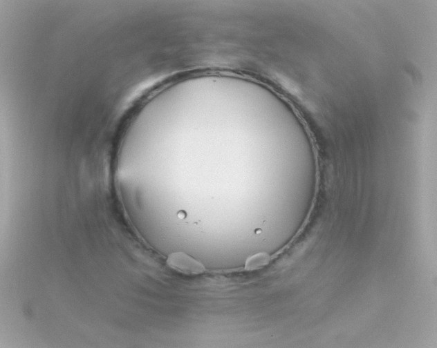 X0000115741214200911251952