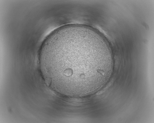 X0000115741215200911251952