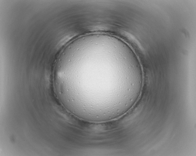 X0000115741217200911251952