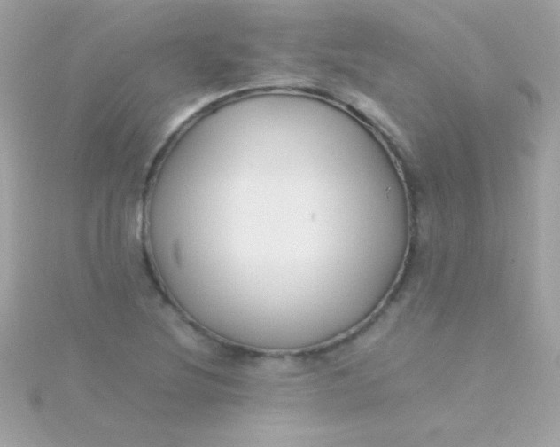 X0000115741220200911251953