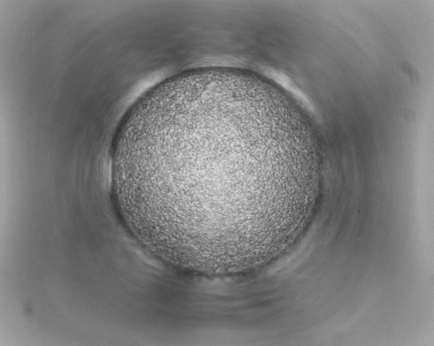 X0000115741221200911251953