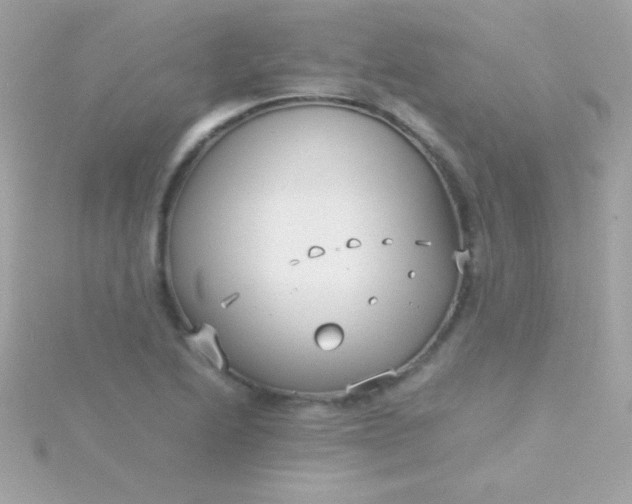 X0000115741222200911251953