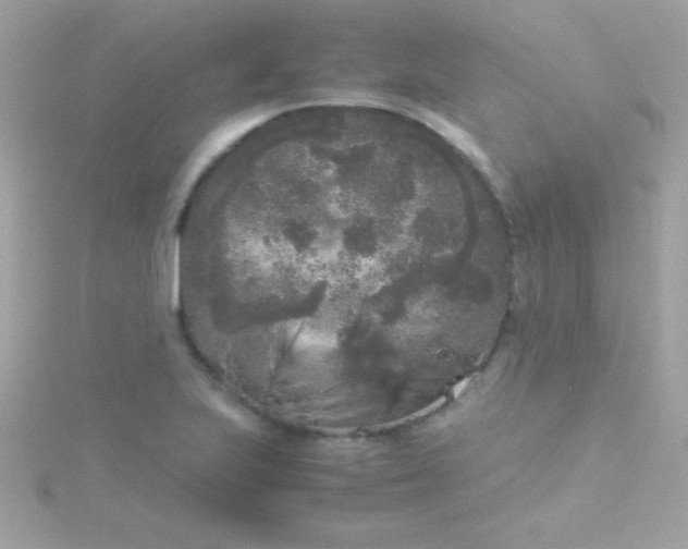 X0000115741223200911251953