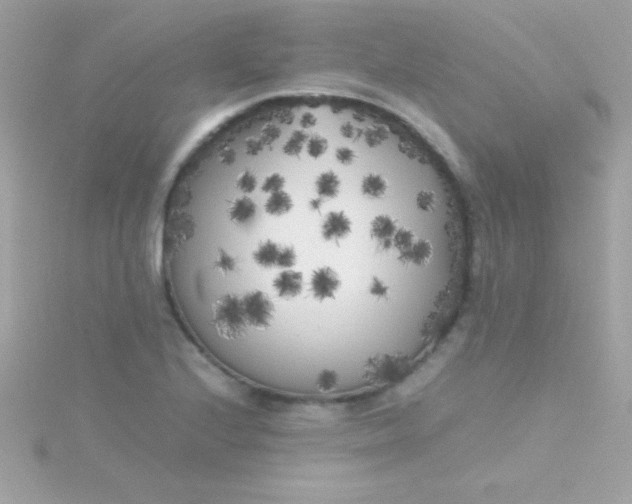 X0000115741224200911251953