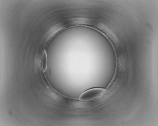 X0000115741225200911251953