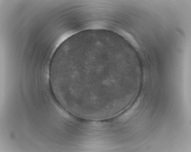 X0000115741226200911251953