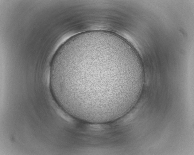 X0000115741227200911251953