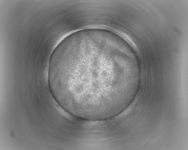 X0000115741228200911251953