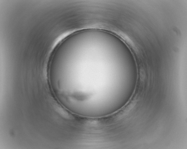 X0000115741230200911251953